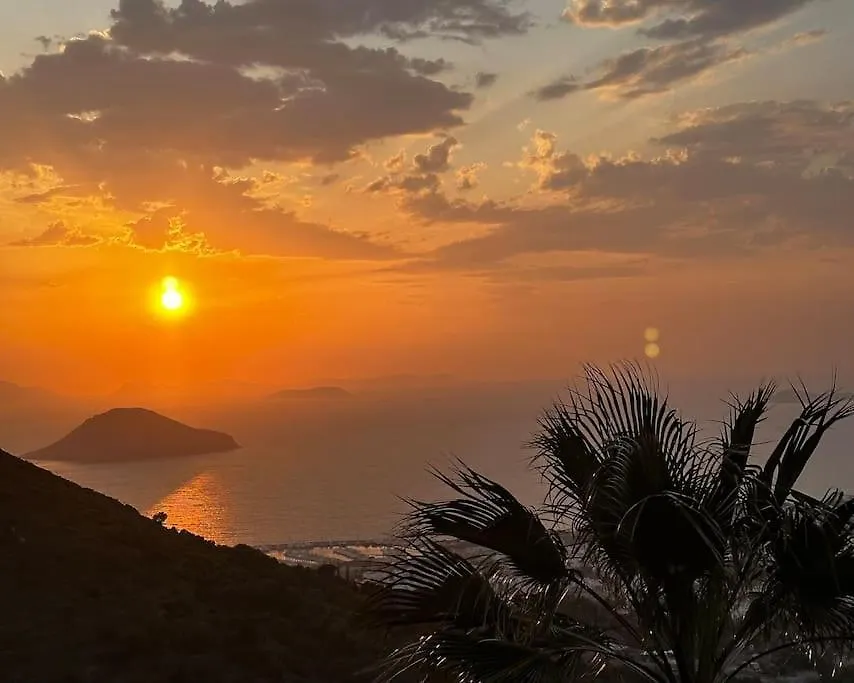 Gaia - Sea View Villa With Private Pool Bodrum